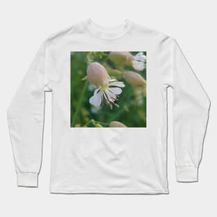 Bladder Campion Flower in The Field Long Sleeve T-Shirt